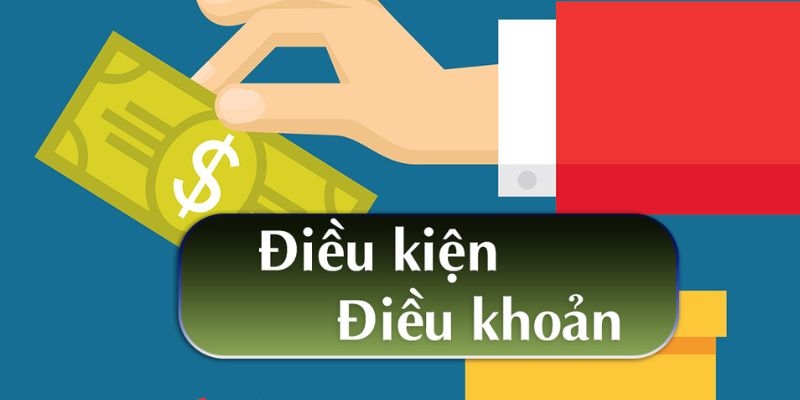 Điều khoản điều kiện S8 giúp minh bạch hóa hoạt động, đồng thời tăng uy tín 