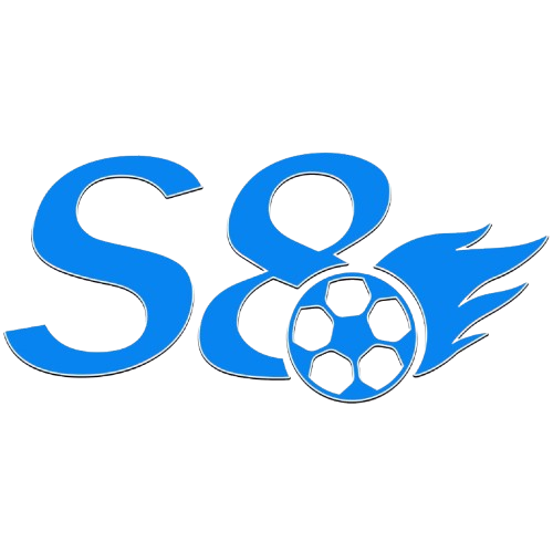 logo-S8